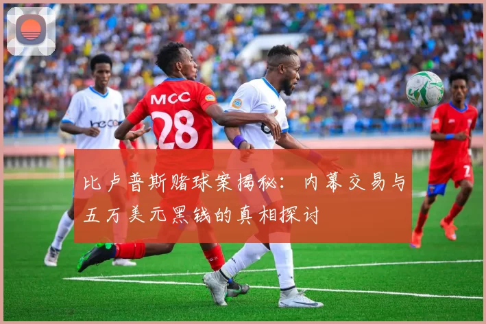 比卢普斯赌球案揭秘：内幕交易与五万美元黑钱的真相探讨