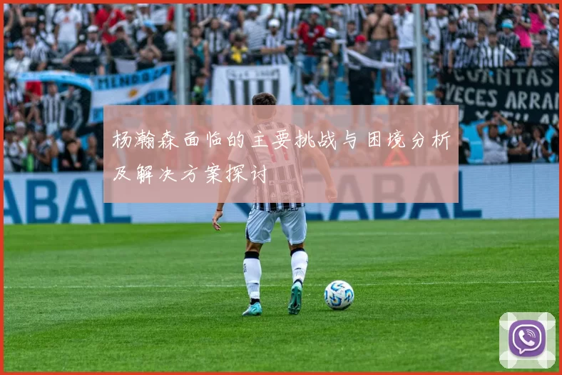 杨瀚森面临的主要挑战与困境分析及解决方案探讨