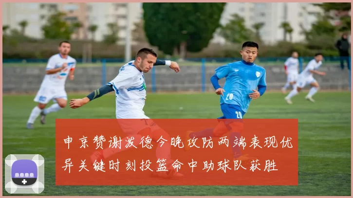 申京赞谢泼德今晚攻防两端表现优异关键时刻投篮命中助球队获胜