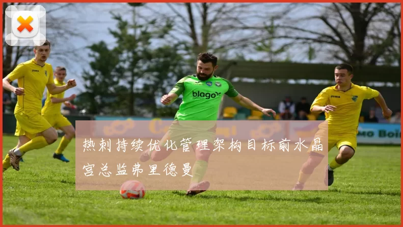 热刺持续优化管理架构目标前水晶宫总监弗里德曼